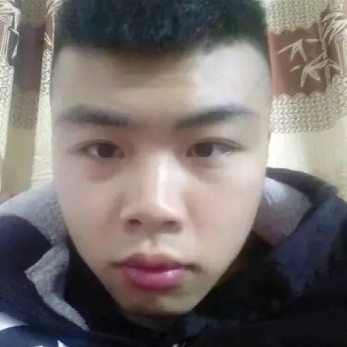 整齐向向日葵的照片