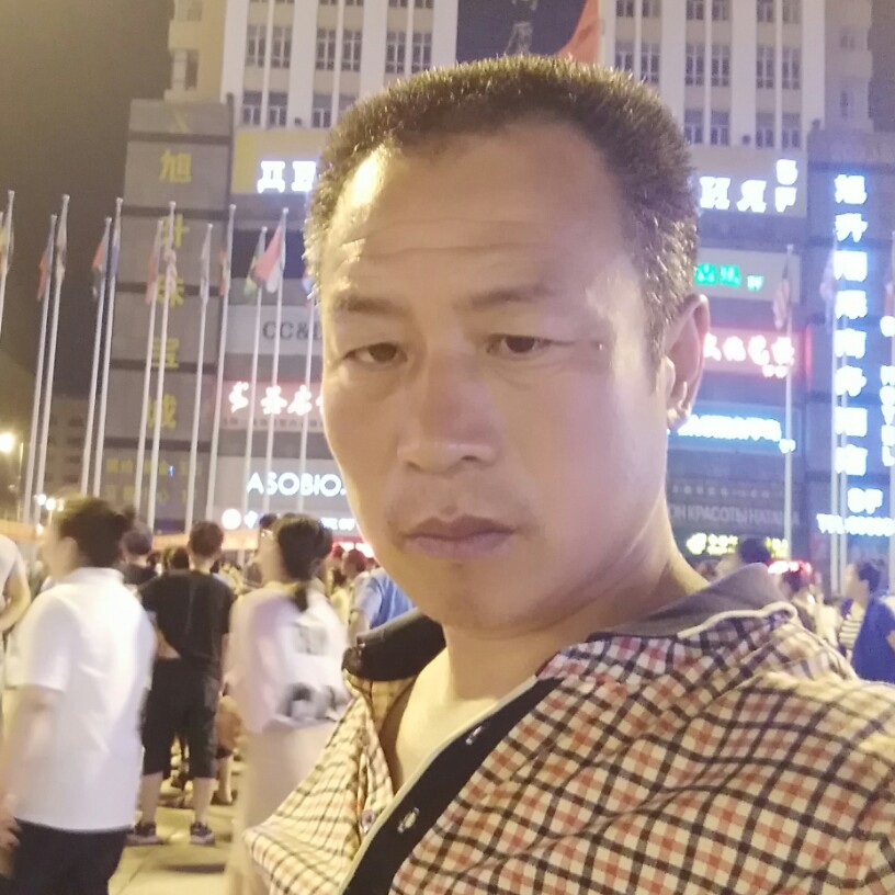 激动小鸽子的照片