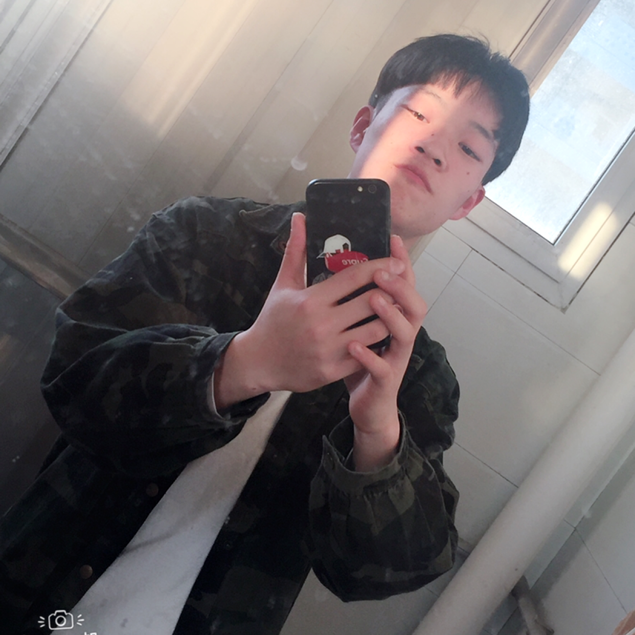 养不起的猫的照片