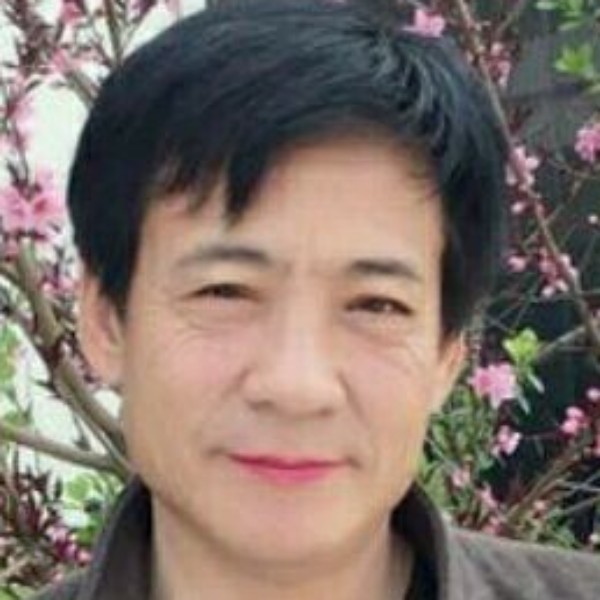 长颈鹿和娇气的照片