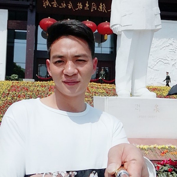 龙猫老实的照片