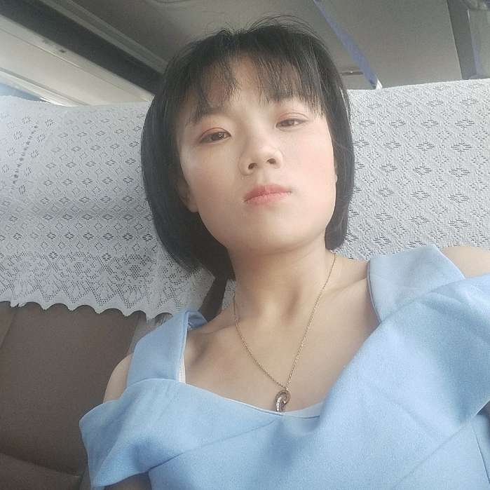 小鸽子向乐观的照片