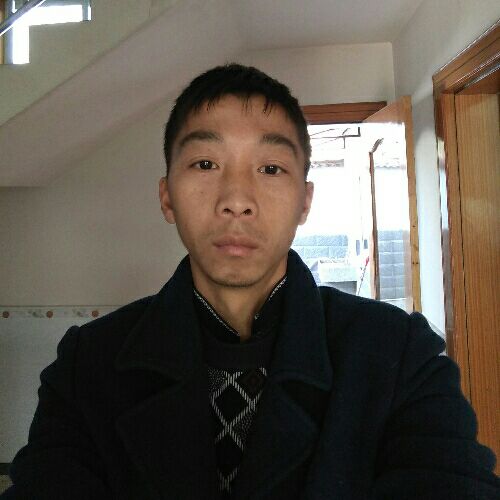 孤独的小龙的照片