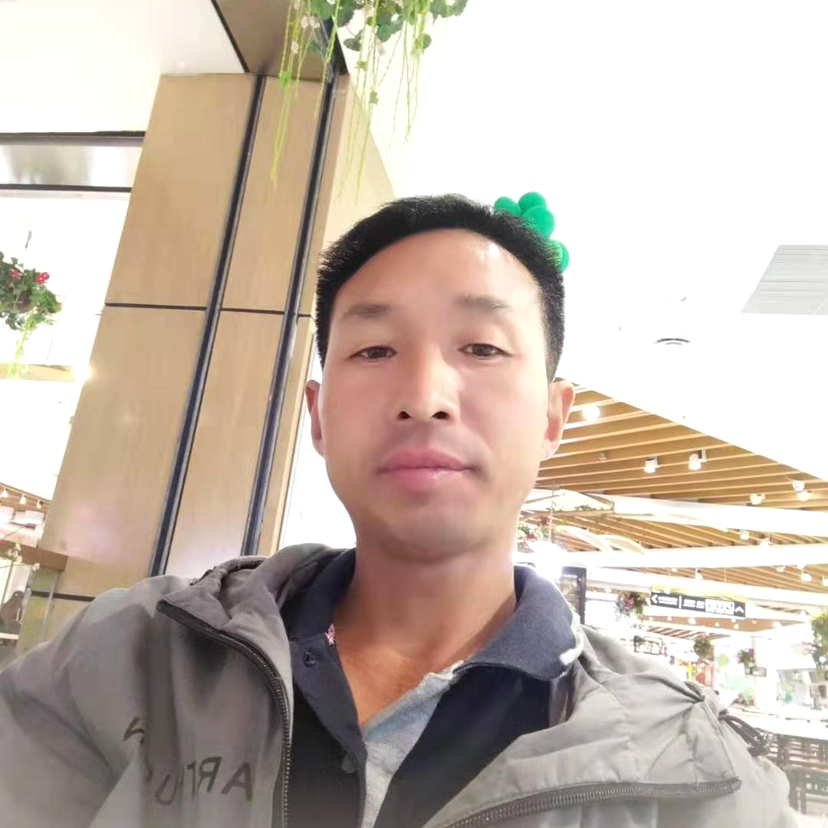 丹桂的照片