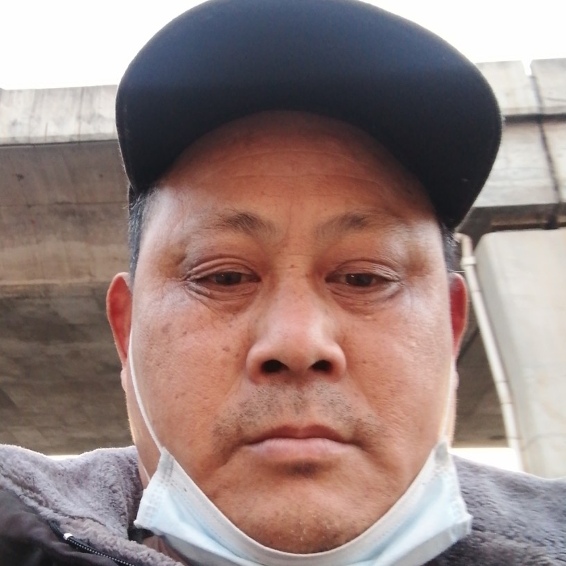 树叶漫步无语的照片