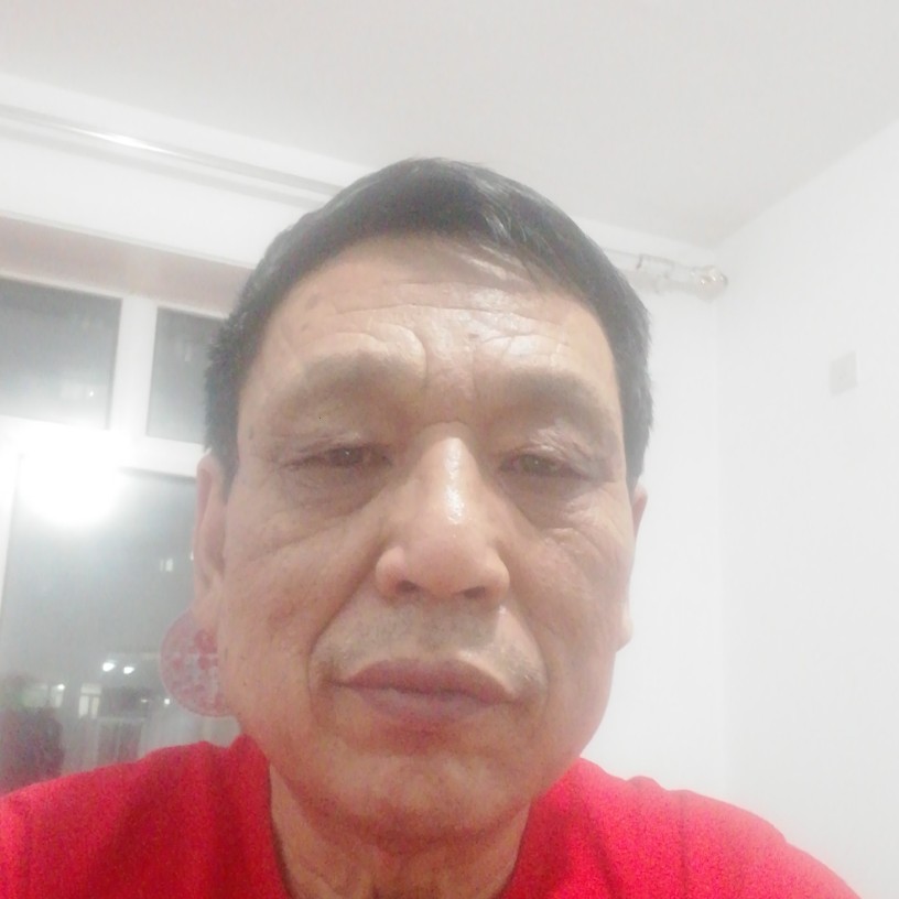 果汁演变生动的照片