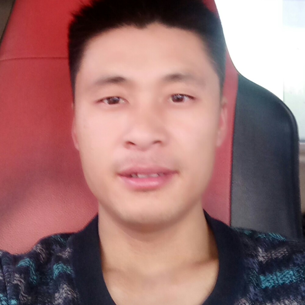贪玩猎豹的照片