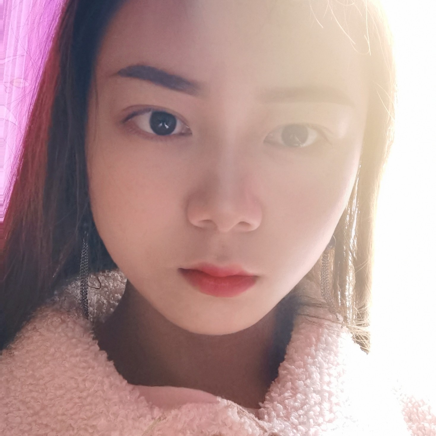 蝴蝶咪咕的照片