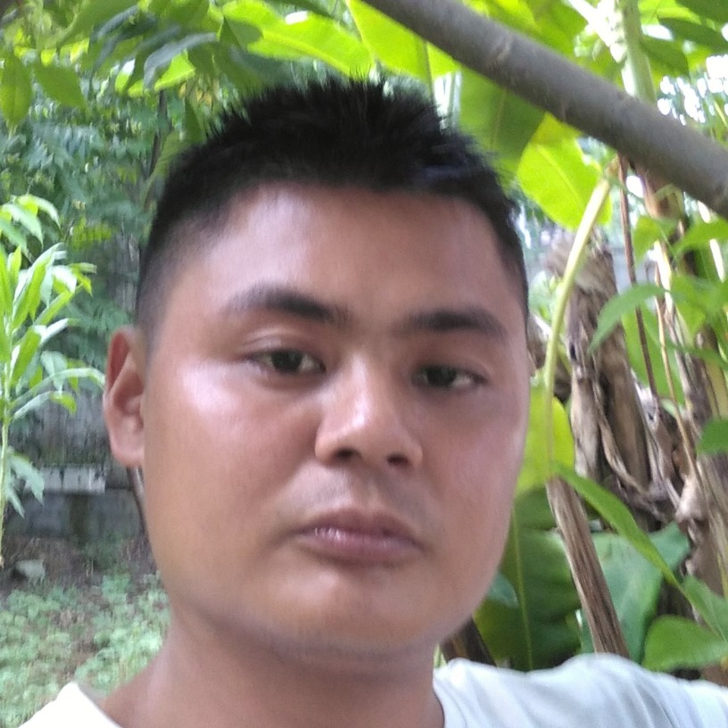 温柔相许寒风的照片
