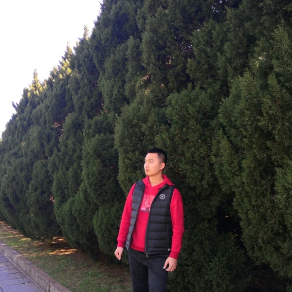 香菜绿油的的照片