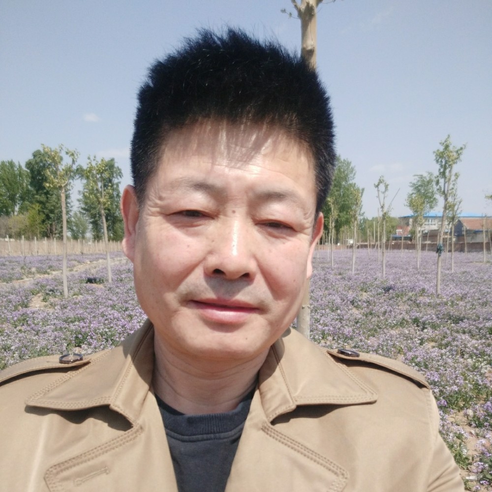 幸福黎明的照片