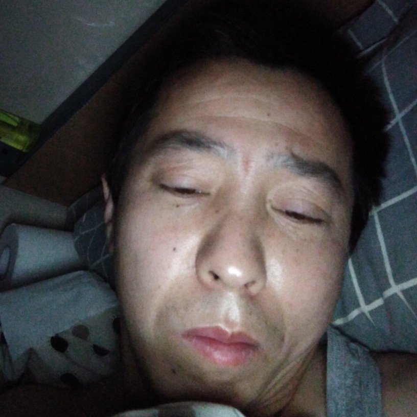 有魅力請大象的照片