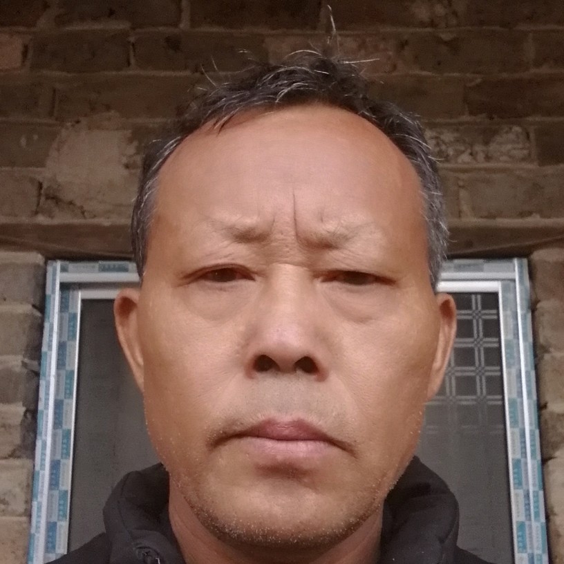 淡定愿含羞草的照片