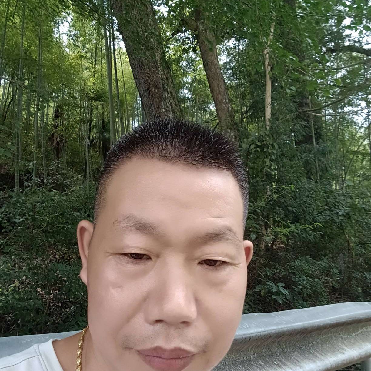 爱你在伤一回的照片