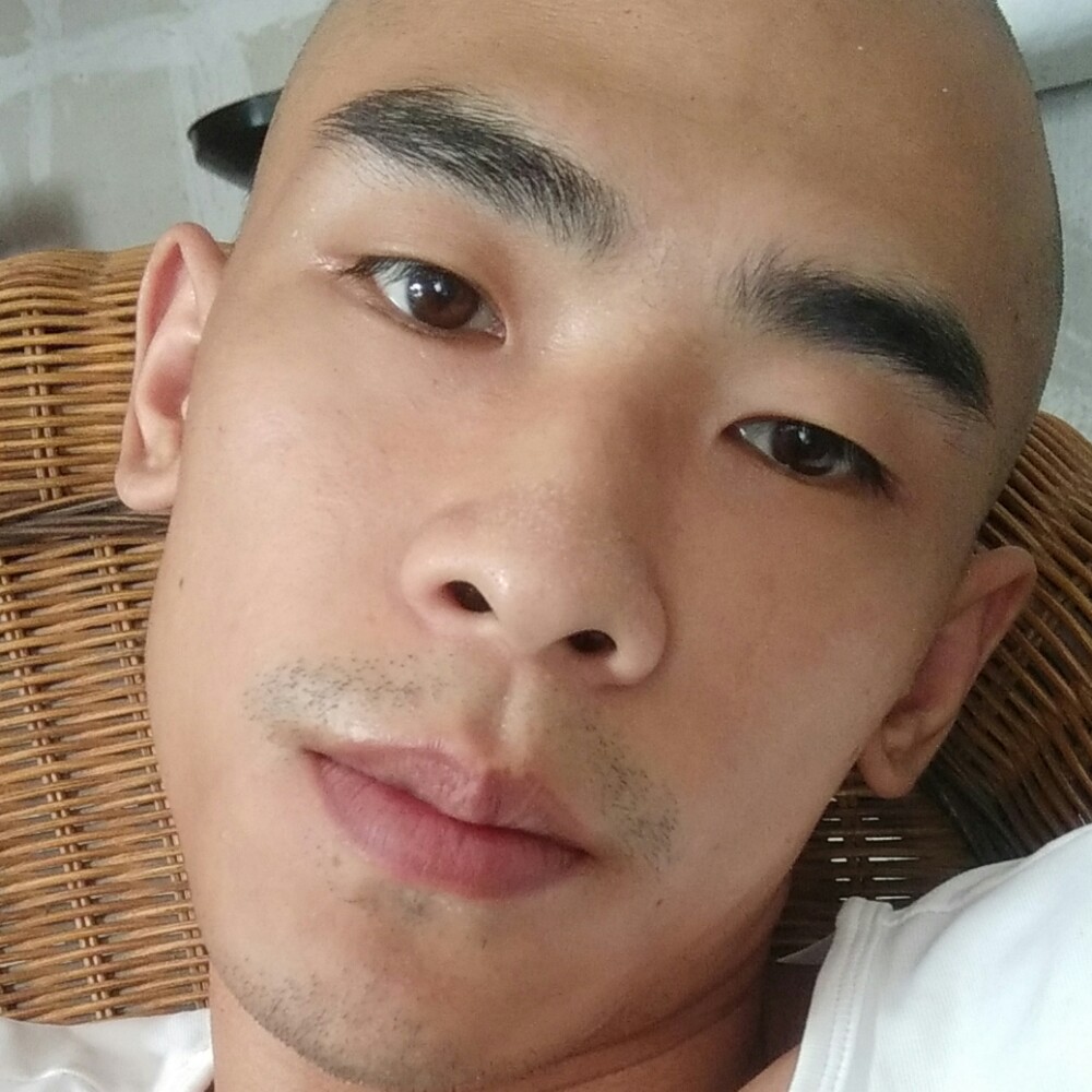 灰狼老实的照片