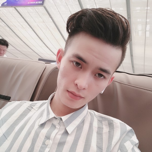 受伤演变绿茶的照片