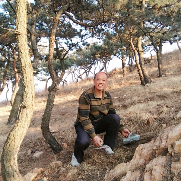 铃木王子的照片