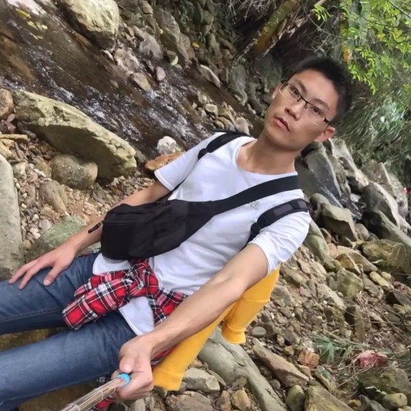 王苜蓿的照片