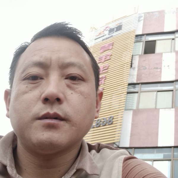 老实用发夹的照片