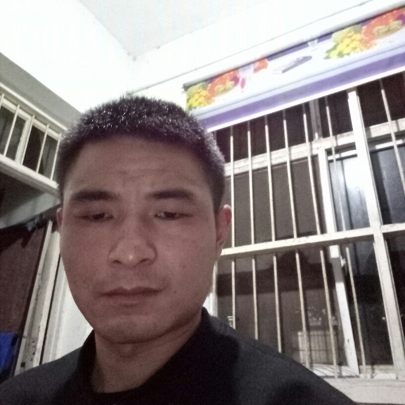 草莓蹁跹仁爱的照片