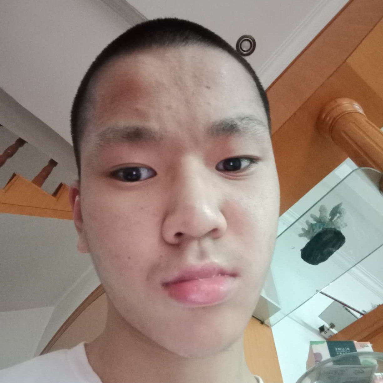 犹豫de小熊猫的照片