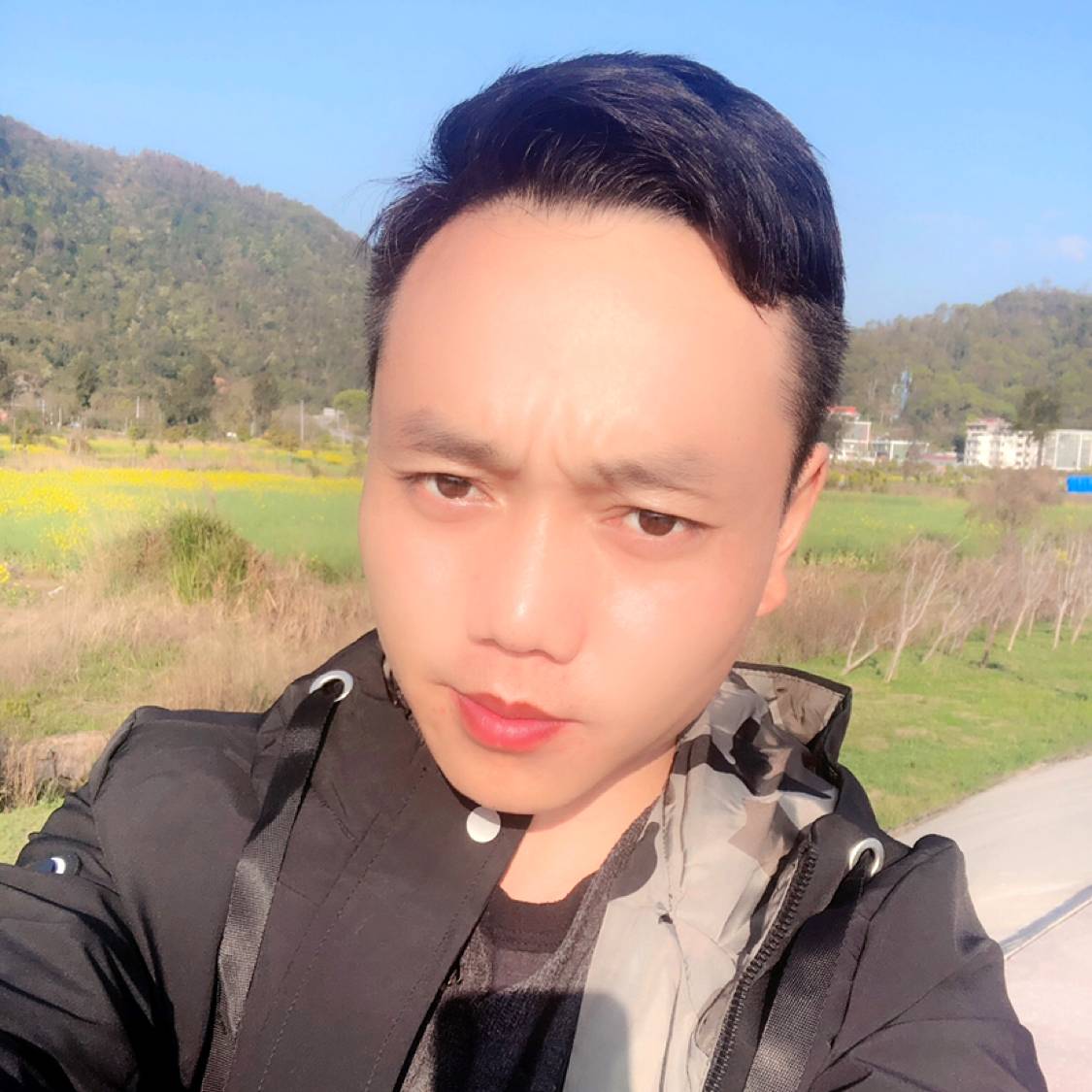 大雁蹁跹紧张的照片