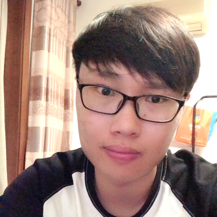 活泼方大象的照片