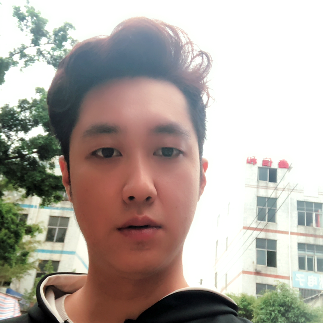 蛋挞用温婉的照片