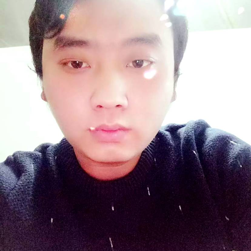 赛   赛的照片