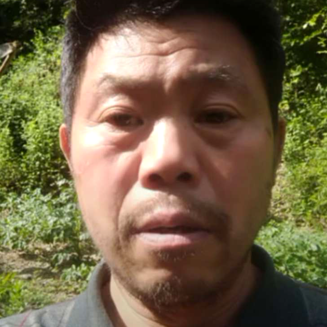 玻璃眼睛的照片