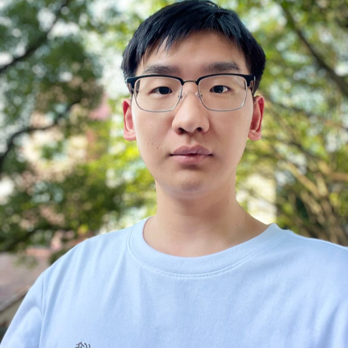 吃鱼的小猫的照片