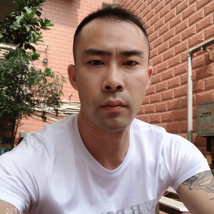随心而偶的照片