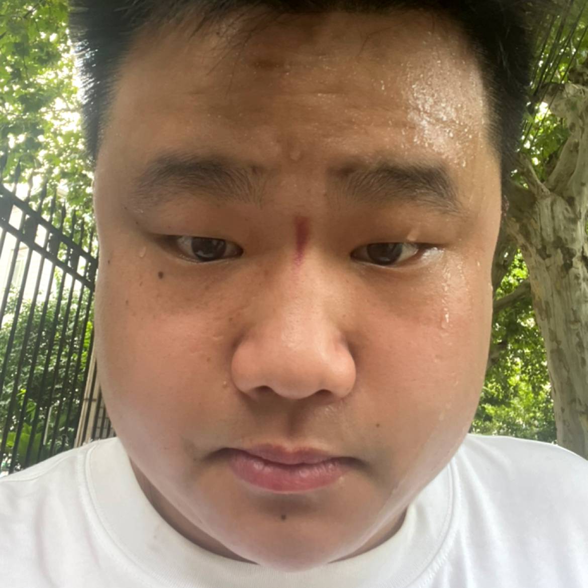 肥猫(8013)的照片