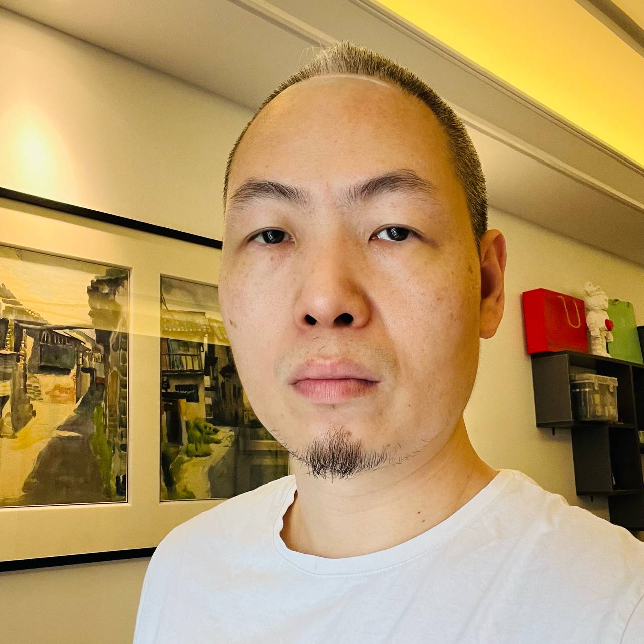 向往de丛林的照片