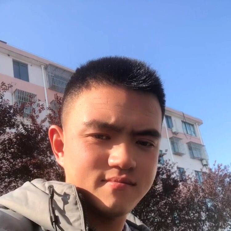 蛋挞坚定的照片