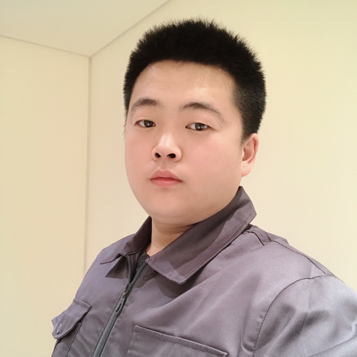 灰狼王的照片