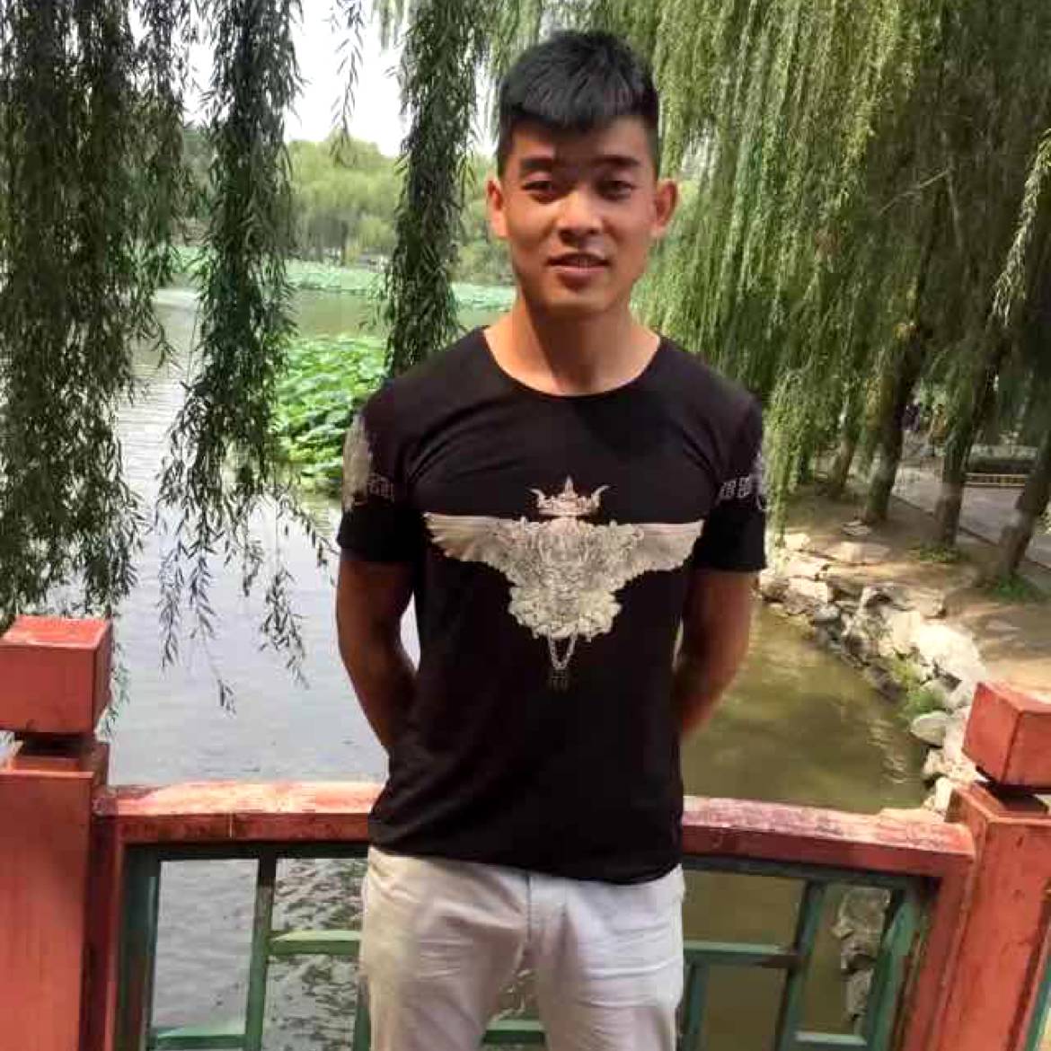小蝴蝶等于美满的照片