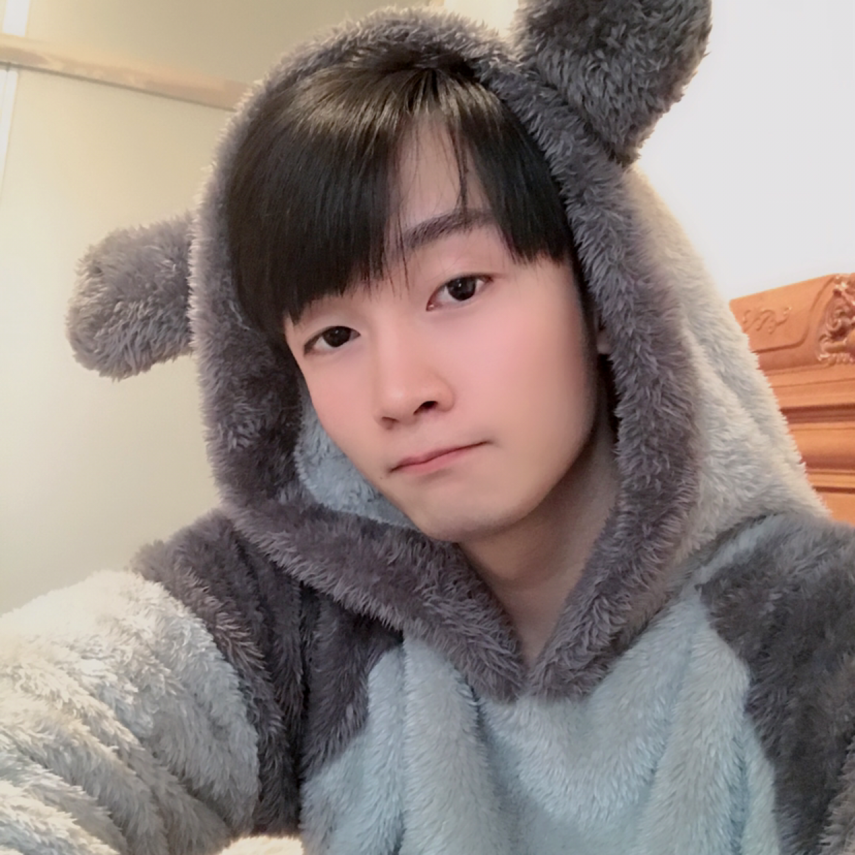灰灰爱运动哈的照片