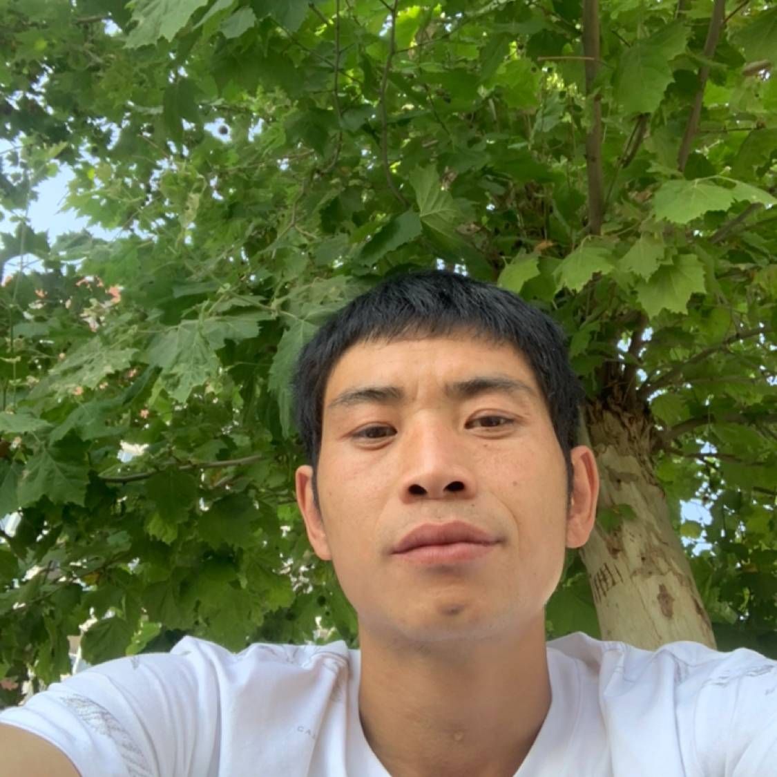 怕孤独相许台灯的照片