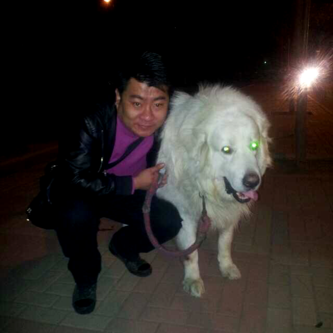 漠然给小懒虫的照片