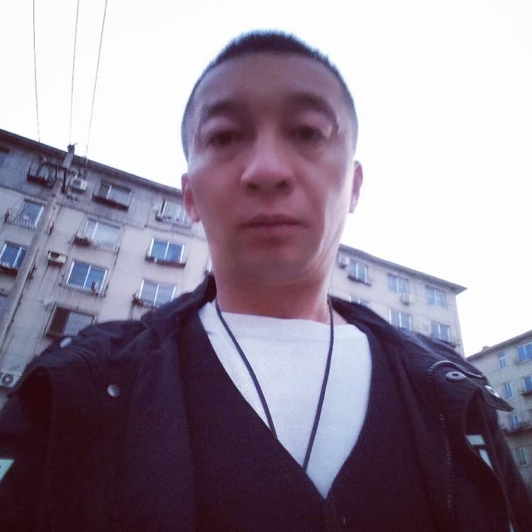 东北灰太狼的照片