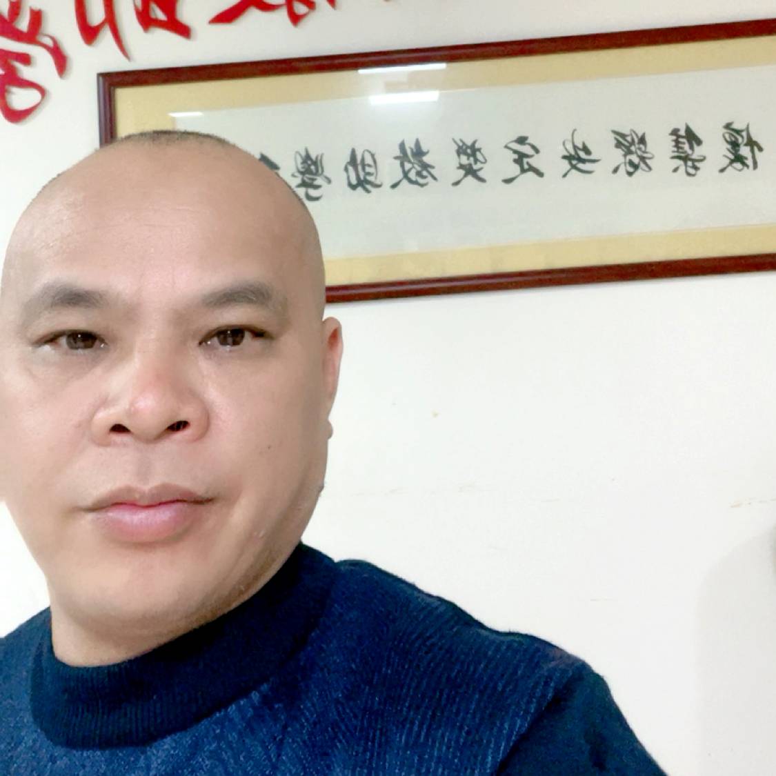 石在可爱的照片