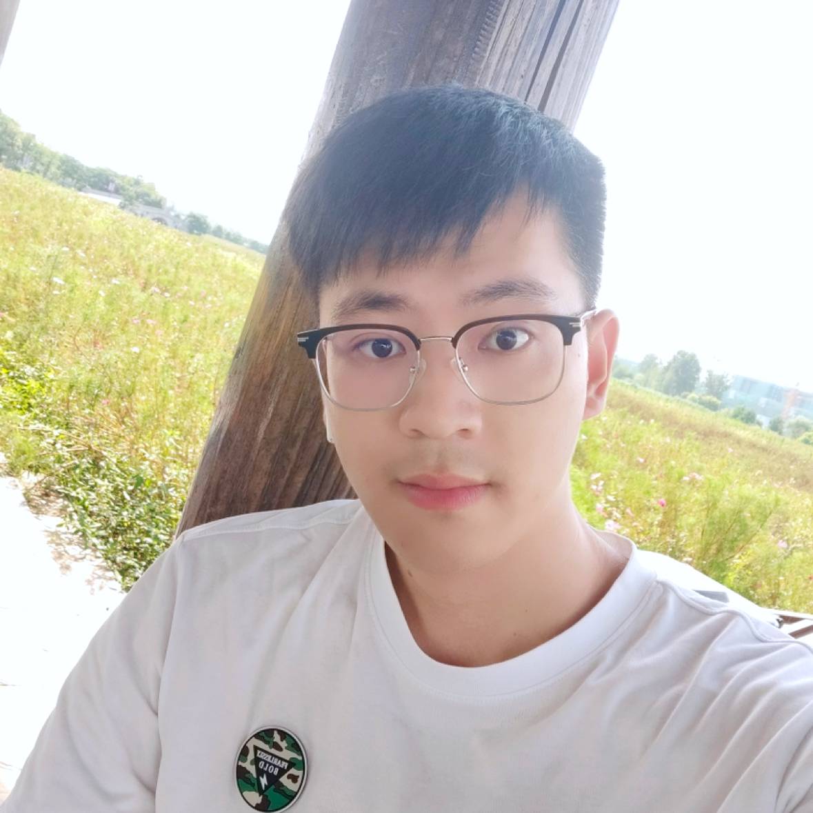 你de梧桐的照片