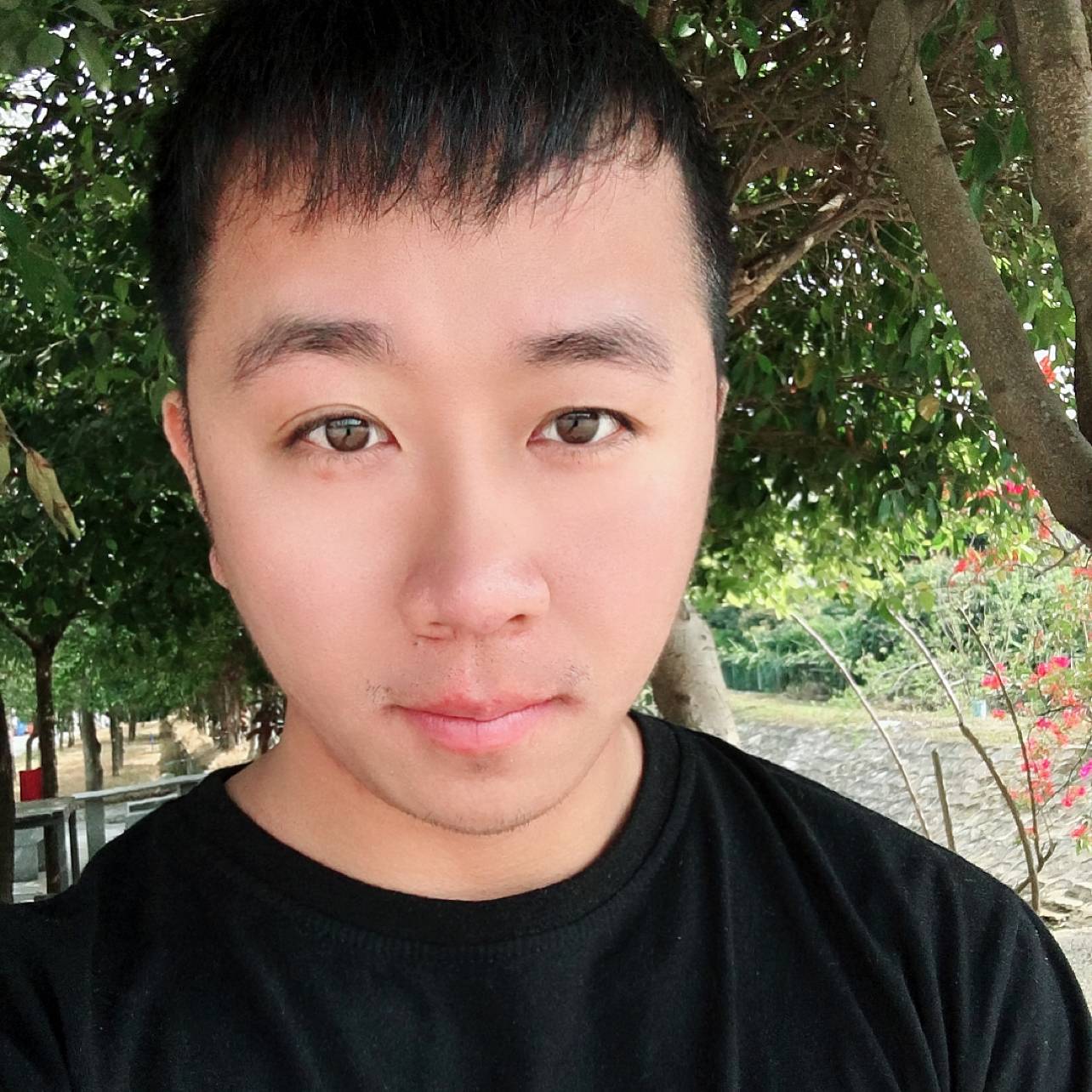 你de城堡的照片