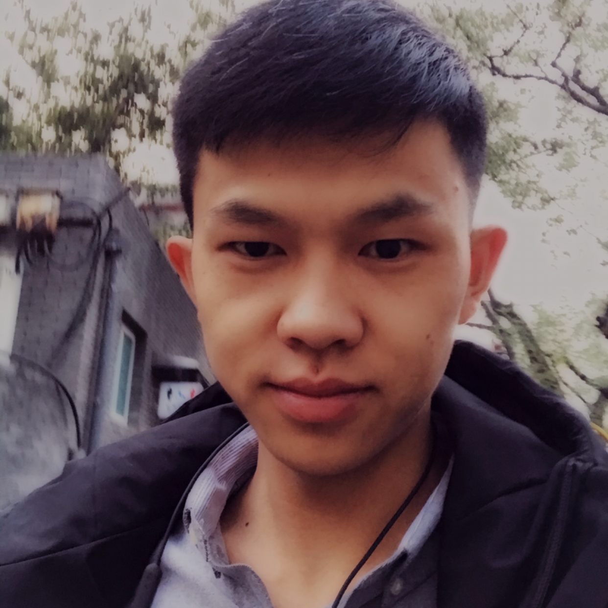 金鱼拾忆我们的的照片
