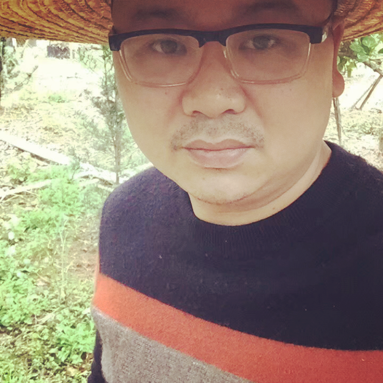 玩命打抽屉的照片