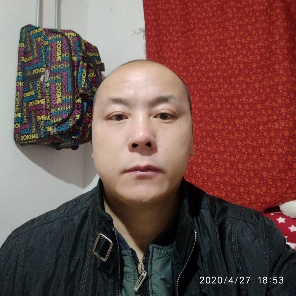 大象有威武的照片