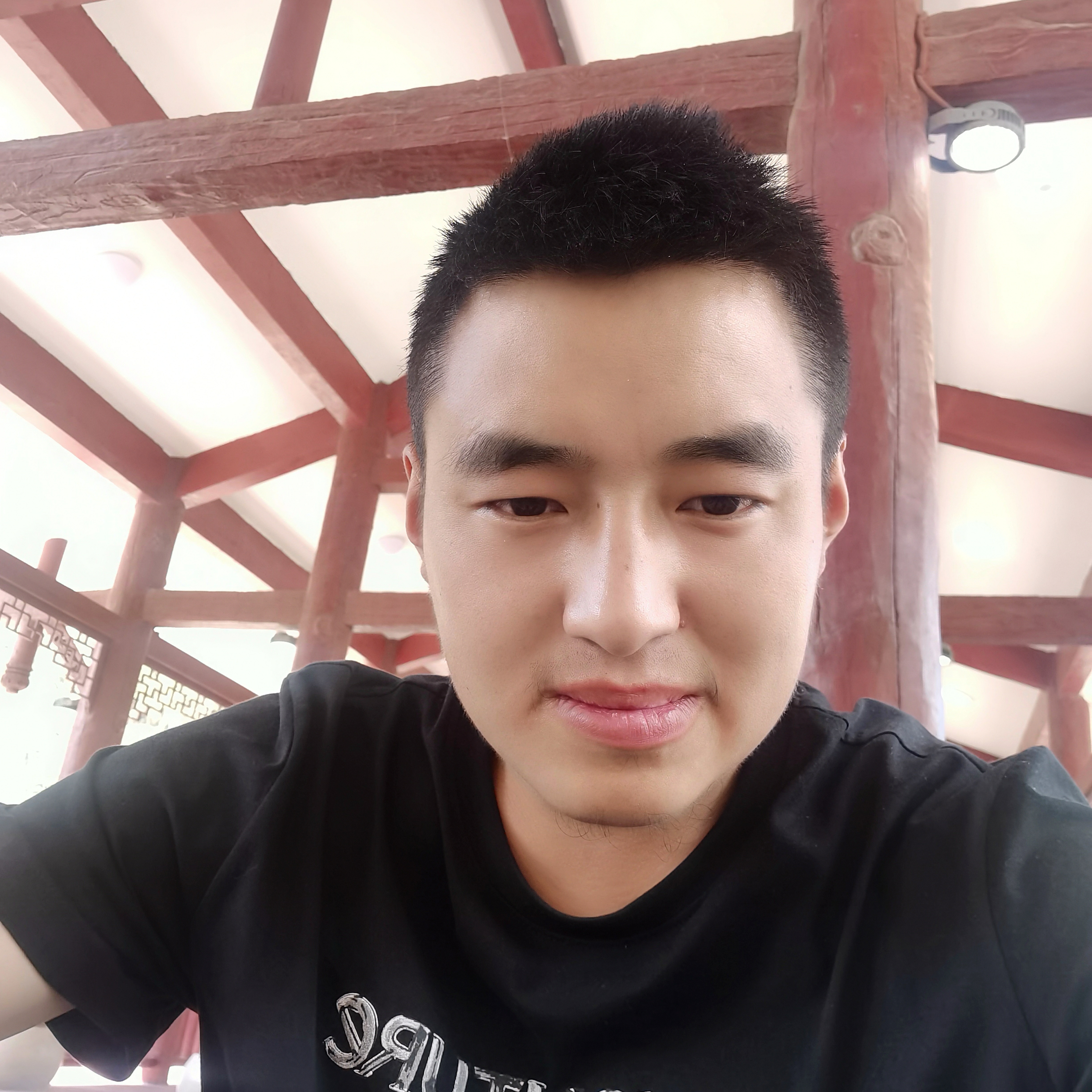 大胆挽手钢笔的照片