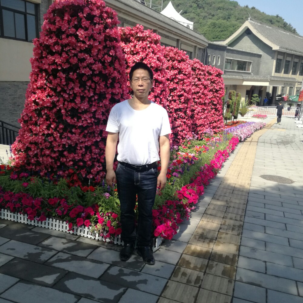 海燕改变留胡子的照片