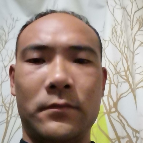 的照片